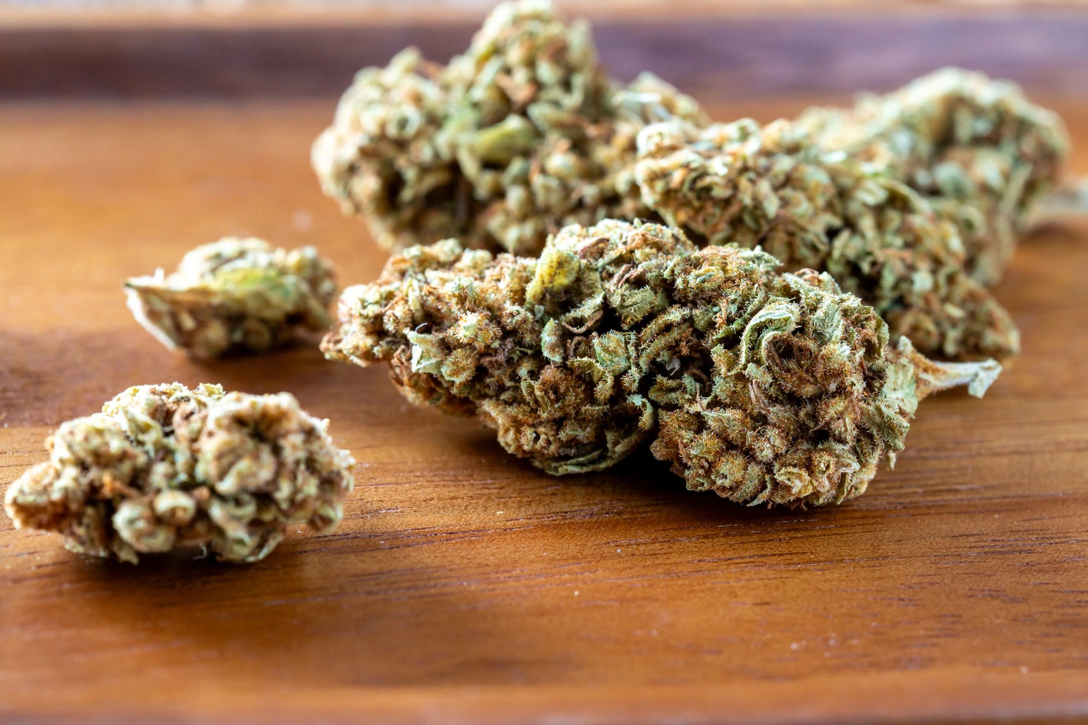 Close-up of dried cannabis flower on a tray