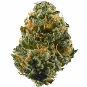 Dragon Berry