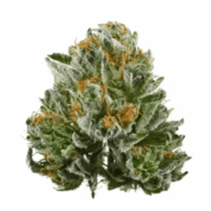 Bubba Kush