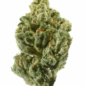 OG Kush