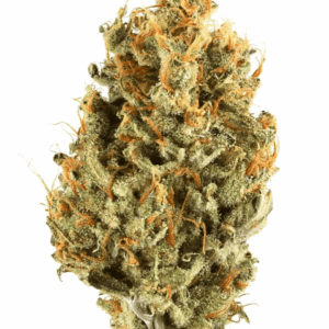 Lemon Diesel