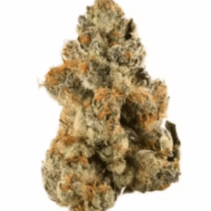 Gelato