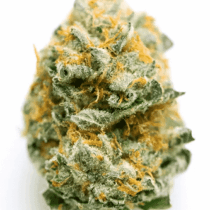 Jet Fuel Gelato