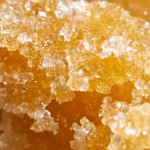 Sugar