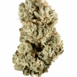 Gorilla Glue