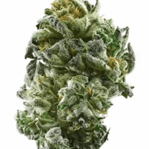 Girl Scout Cookies