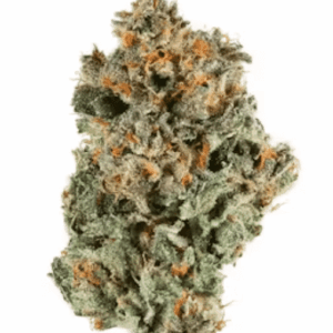 Sunset Sherbert