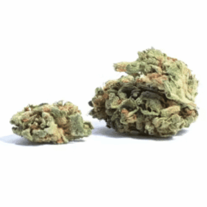 Comatose OG