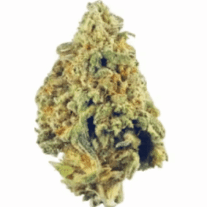 El Chapo OG