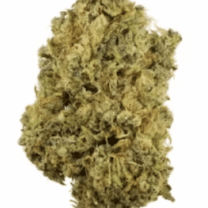 Durban Poison